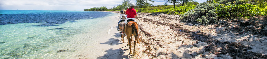 The Caribbean and Northern America provide a wide variety of environments, peoples and cultures to explore.