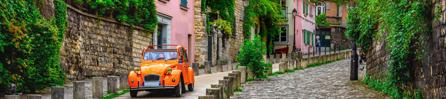 Millions of travellers visit Western Europe each year. But, many of them bring home more than souvenirs. Make sure you stay protected while abroad.