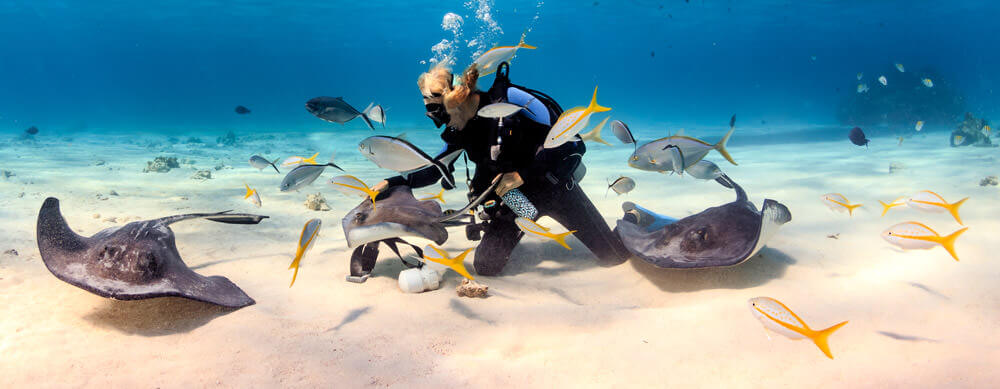 Travel safely to the Cayman Islands with Passport Health's travel vaccinations and advice.