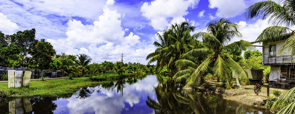 Calm riversides and serene scenes dot Suriname. Enjoy it without worry with Passport Health's premiere travel vaccination and medication services.