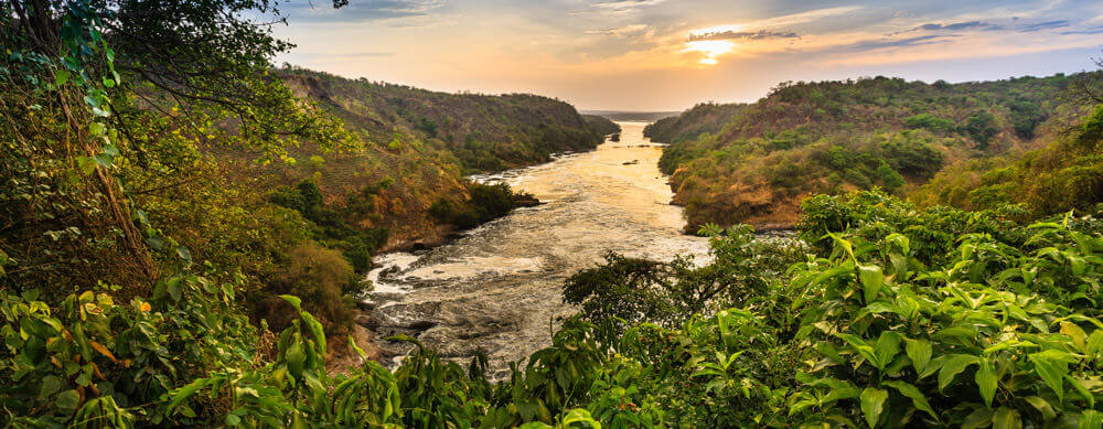 Les jungles, les rivières et bien d'autres choses encore sont des sites incontournables en Ouganda. Les services de vaccination des voyageurs de Passport Health vous aideront à rester en sécurité pendant votre séjour.