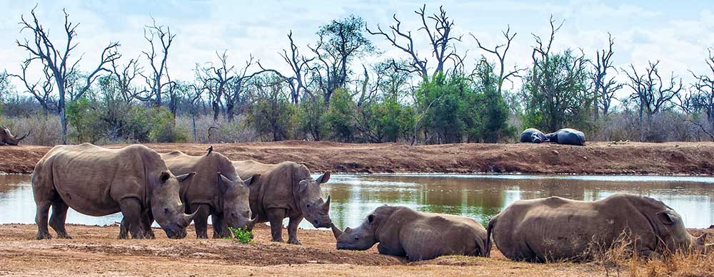 Safaris and wildlife are just two reasons to visit Tanzania. Travel safely with the help of Passport Health and its premier travel vaccination services.